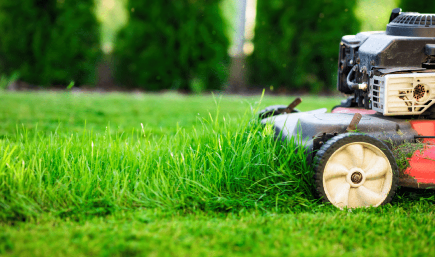 YARD MOWING