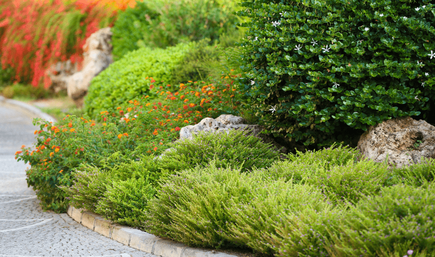 LANDSCAPING