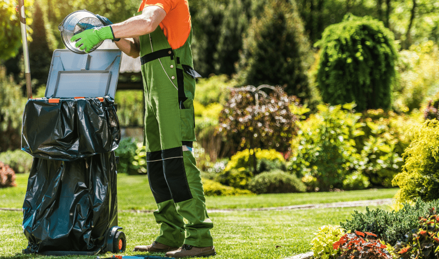 SPRING CLEANUPS